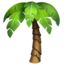 :palm_tree: